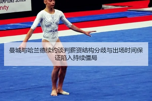 man-cheng-yu-ha-lan-de-xu-yue-tan-pan-xin-zi-jie-gou-fen-qi-yu-chu-chang-shi-jian-bao-zheng-xian-ru-chi-xu-jiang-ju-3-503.jpg