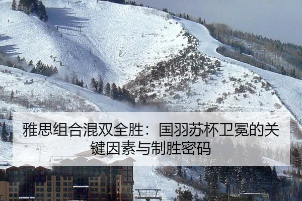 雅思组合混双全胜：国羽苏杯卫冕的关键因素与制胜密码