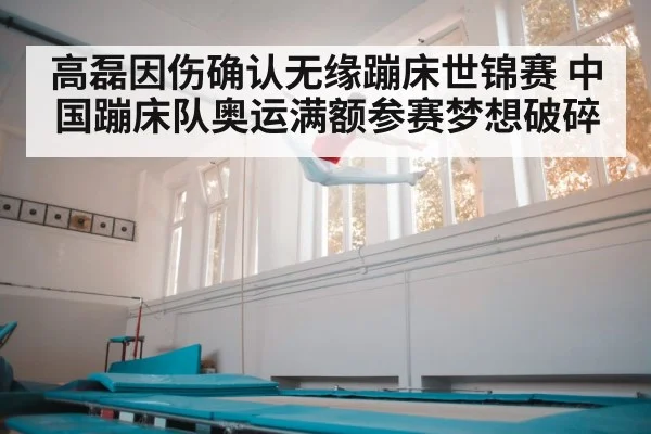 高磊因伤确认无缘蹦床世锦赛 中国蹦床队奥运满额参赛梦想破碎